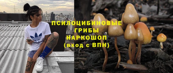 молекула духа Горнозаводск