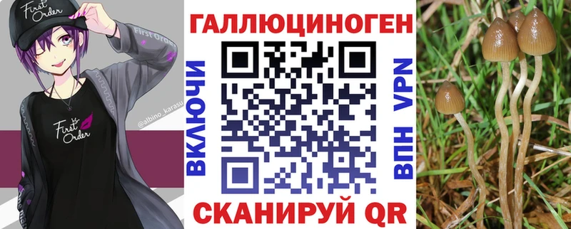 Галлюциногенные грибы прущие грибы  купить   ОМГ ОМГ рабочий сайт  Волхов 