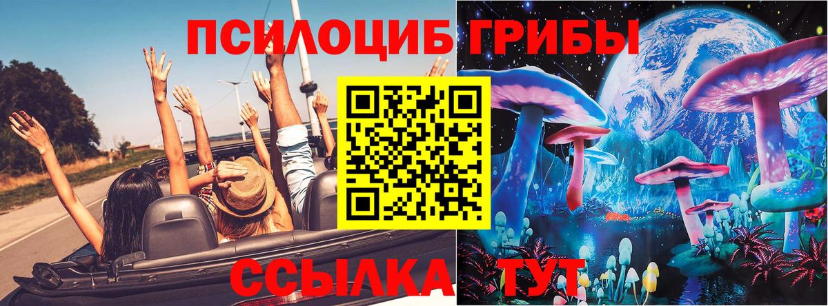 Галлюциногенные грибы ЛСД Волхов