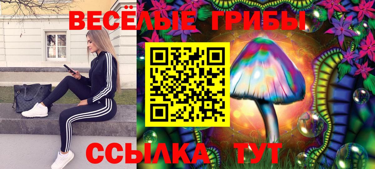 Галлюциногенные грибы GOLDEN TEACHER  Галлюциногенные грибы мицелий  Волхов  Вход с VPN 