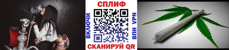 Бошки Шишки гибрид  Волхов 
